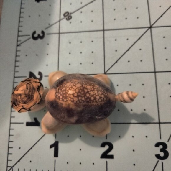 Sea Shell Turtle Figurine Miniature Woven Head Eyeglass Accents - Picture 7 of 9